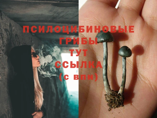 винт Бородино