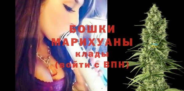 винт Бородино