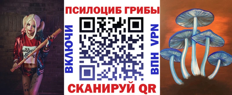 Галлюциногенные грибы Psilocybe  продажа наркотиков  Калтан 